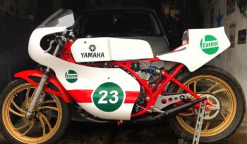 YAMAHA TZ 250 Racing Recreation completo